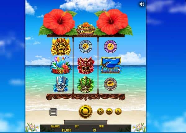 ハワイアン・ドリーム /Hawaiian Dream スロット解説 hero image