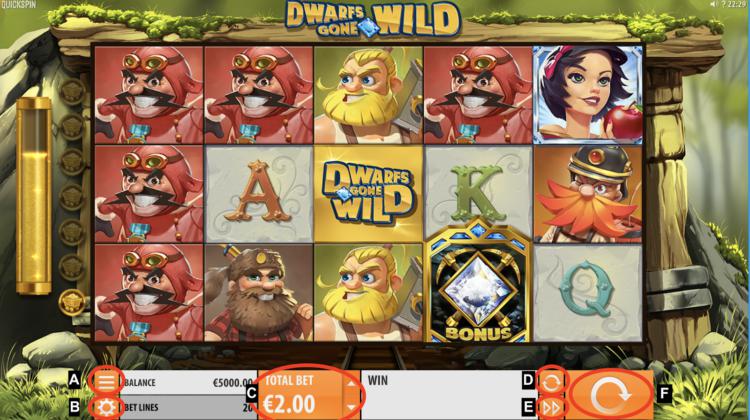 ドワーフゴーンワイルド ボーナス