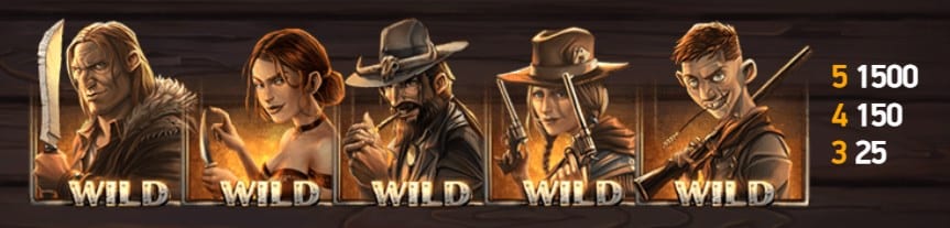 デッドオアアライブ2 ワイルドシンボル