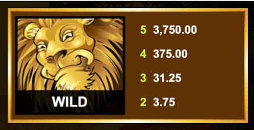 MEGA MOOLAHスロット ワイルドシンボル