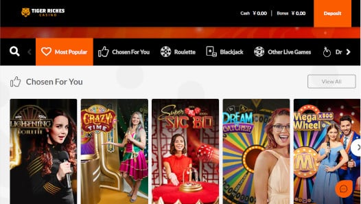 タイガーリッチ　ゲーム