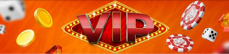 タイガーリッチVIP