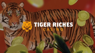 タイガーリッチ/TigerRiches カジノ最新レビュー