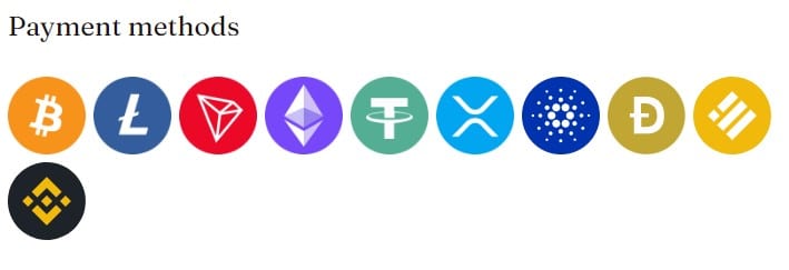  ビットカジノ IO の支払い方法。