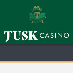 タスクカジノ/Tusk Casinoの最新レビュー！