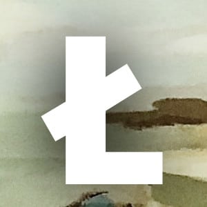 ライトコイン/ Litecoin オンラインカジノ hero image